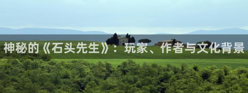 杏耀是什么：神秘的《石头先生》：玩家、作者与文化背景