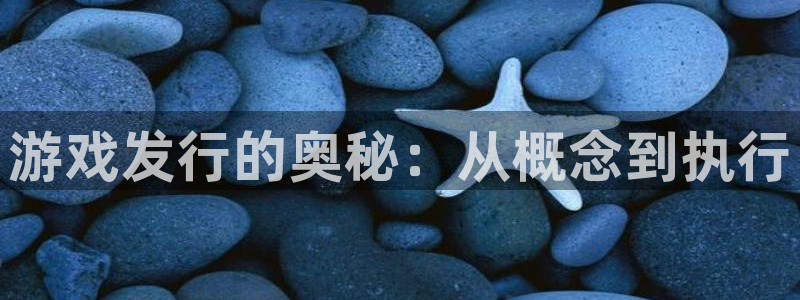 杏耀子图片：游戏发行的奥秘：从概念到执行
