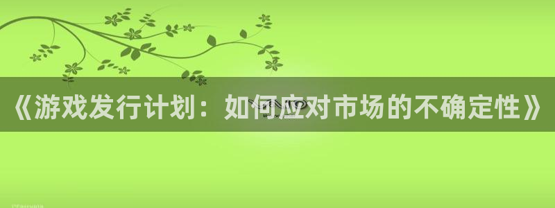 杏耀防水是几线品牌：《游戏发行计划：如何应对市场的不确定性》