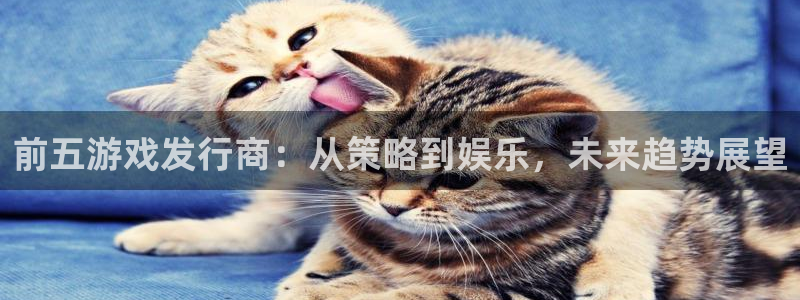 杏耀官网注册平台官网下载：前五游戏发行商：从策略到娱乐，未来趋势展望