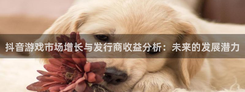 杏耀电子商务有限公司招聘：抖音游戏市场增长与发行商收益分析：未来的发展潜力
