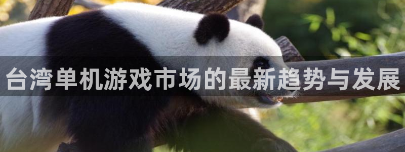 杏耀官网解绑银行卡怎么弄：台湾单机游戏市场的最新趋势与发展
