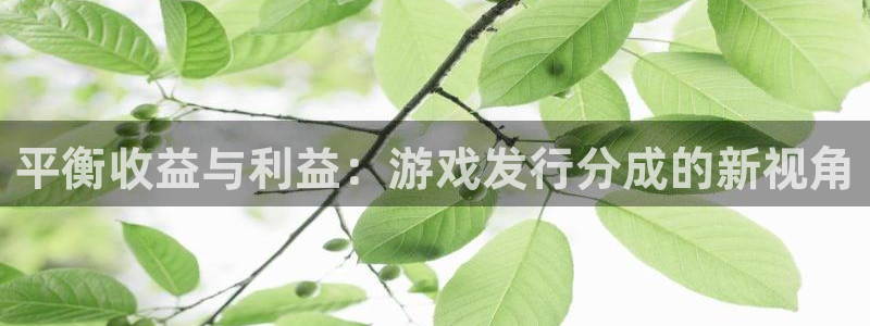 杏耀官网平台注册账号注意事项：平衡收益与利益：游戏发行分成的新视角