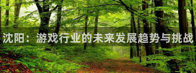 杏耀官网游戏：沈阳：游戏行业的未来发展趋势与挑战