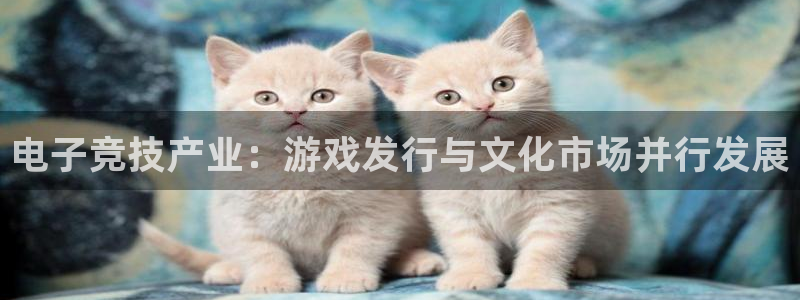 杏耀子市值