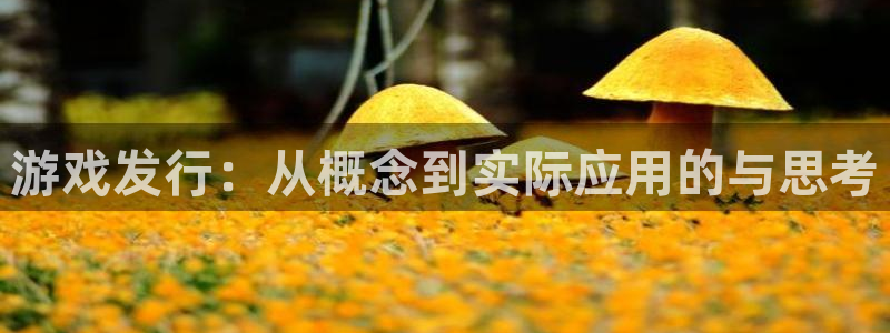 杏耀电子商务有限公司怎么样知乎：游戏发行：从概念到实际应用的与思考
