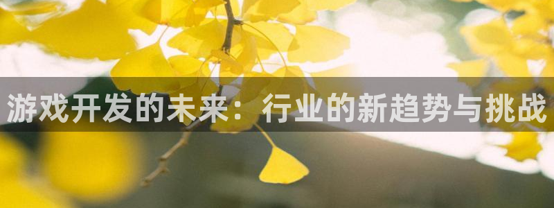 杏耀官网平台代理开号怎么开：游戏开发的未来：行业的新趋势与挑战