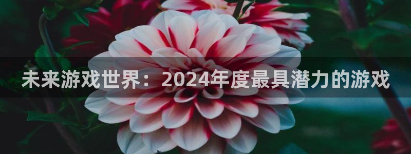 杏耀官网注册平台登录不了