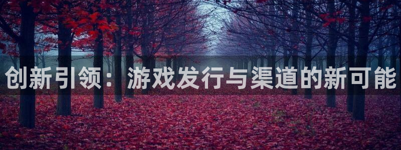 杏耀官网平台招商qq：创新引领：游戏发行与渠道的新可能